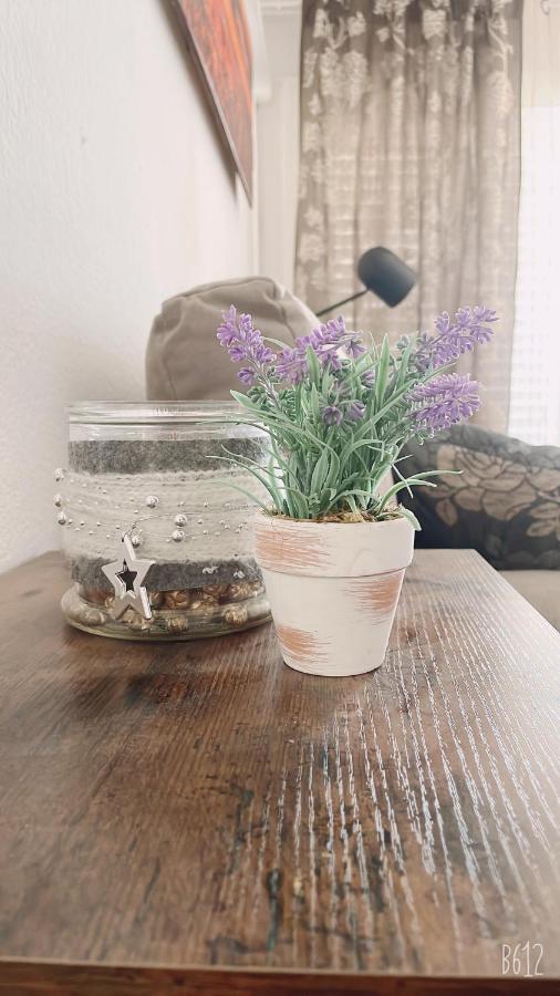 Apartamento Calipso Plus サロウ エクステリア 写真
