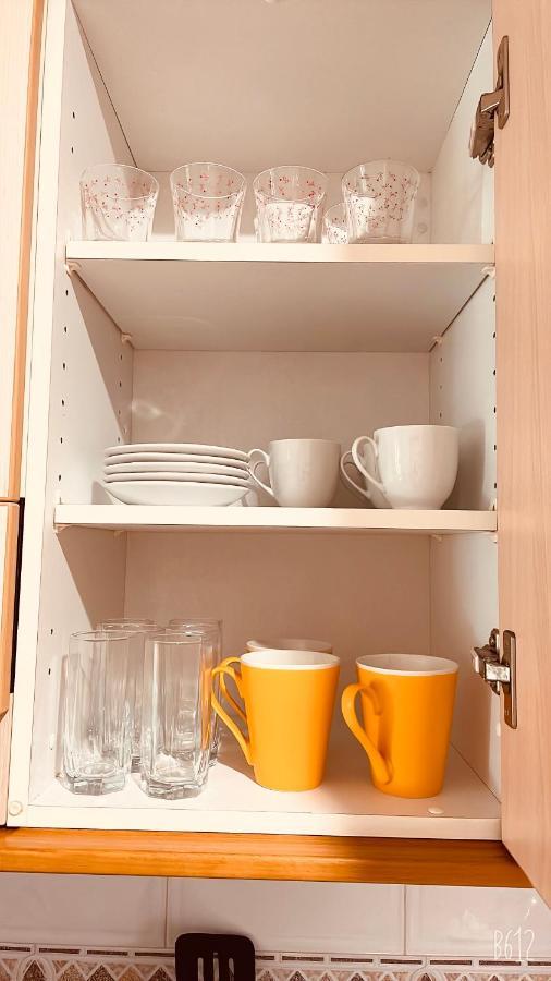 Apartamento Calipso Plus サロウ エクステリア 写真